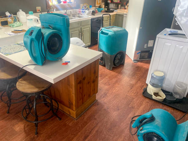 Best Residential water damage restoration  in Sturgis, MI