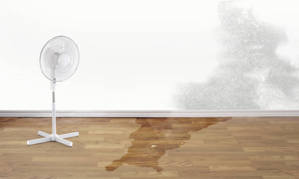 Best Water damage contractors near me  in Sturgis, MI