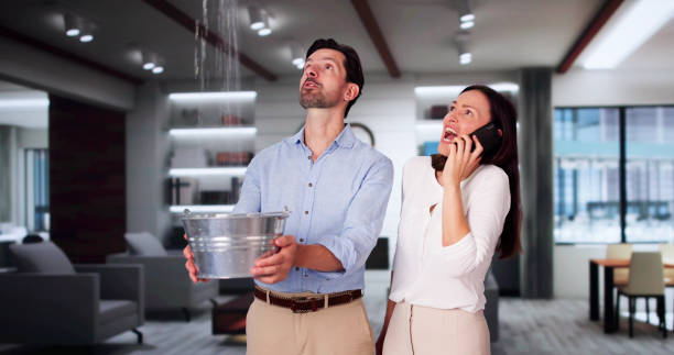Best Water damage repair service  in Sturgis, MI